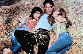 Willi´s wilde weiber — mit dem pony durch die eifel 03:55. Die Wilden Weiber Von Tennessee 1964 Film Cinema De