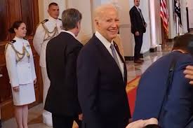 Image result for Bidens ugandensis