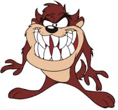 Wenn nicht noch ein wunder geschieht, wird es die legendären tasmanischen teufel bald nicht mehr geben. Tasmanischer Teufel Kingslion