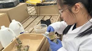 Iowa American rate plan raises average bill 54%