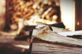 Tides and solunar charts san diego. 7 Firewood Storage Tips Guide Install It Direct