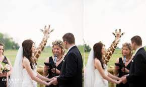 Columbus Zoo Aquarium Zoo Wedding Columbus Wedding Venues Columbus Zoo