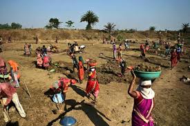 The state's manufacturing activities focus largely on metals production. Chhattisgarh Creates New Record Provides 16 07 Crore Jobs Under Mnrega The New Indian Express