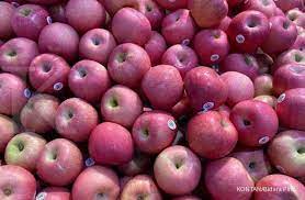 Check spelling or type a new query. 7 Makanan Ini Efektif Menurunkan Gula Darah Lo