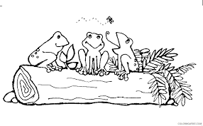 The spruce / wenjia tang take a break and have some fun with this collection of free, printable co. Black And White Frog Coloring Pages Mormon Share Frogs On A Printable Coloring4free Coloring4free Com