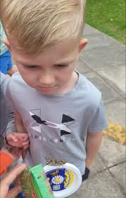 Lyn's Little Ones Pre-School