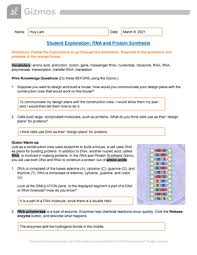 We did not find results for: Huy Lam Rna Protein Synthesis Gizmo Student Exploration Studocu