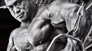 The phat (power hypertrophy adaptive training) workout routine is a 5 day powerbuilding program for athletes seeking. A Tried And True Bodybuilding Program Template T Nation