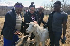 students volunteer at nonprofits during