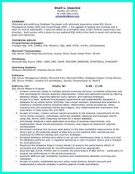 How Professional Database Developer Resume Must Be Written