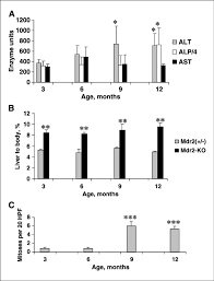 Age Associated Physiologic Changes In Mdr2 Ko Mice A