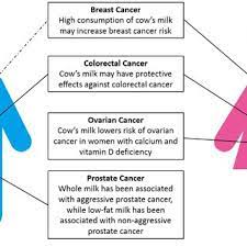 Association Of Consumption Of Cow S Milk With Breast Colorectal Download Scientific Diagram
