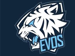 Gambar player ff terbaik download now pro player ff. Daftar Prestasi Fenomenal Evos Esports Sepanjang 2019 Kejutan Di Mobile Legends Dan Free Fire E Sports Bola Com