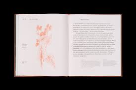 Nouvelle Administration On Behance