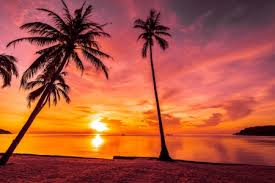 Ocean wallpaper red sunset beach sunset wallpaper sunset sky palm tree sunset beach wallpaper palm trees nature backgrounds beach sunset. Beach Sunset Beaches Nature Background Wallpapers On Desktop Nexus Image 2454444