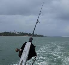 Kjn fdsbing food quiz qkrew r hgo twekr. First Fishing Trip In 2021 Page 2 Hardwarezone Forums