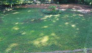 Write sun if there is no shade to. How To Make A Sun Map Of Your Garden