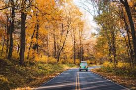 Plot up to 150 stops along your way! Southeastern Us Road Trip Ideas Escape Campervans