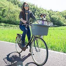 ferplast fahrradtransportbox atlas bike rapid 20 fur hunde in grau hundefahrradkorb fur den lenker mit einfacher befestigung pet carriers small dogs pet paws