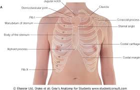 Any short, narrow, v shaped deviation, whether positive or negative, in a linear tracing. Https Library Med Utah Edu Diganat Som Unit 1 Lab Dry 20lab 203 20 20weyrich Ppt Pdf