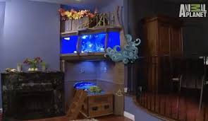This hotel room from real house design quite literally lets you sleep with the fish. Larger Than Life Size Fish Tank Bed Fish Tank Bed Tank