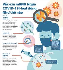Việt nam sẽ sử dụng vaccine 'tự sản xuất' trong năm 2022. Niadmbfobso5om