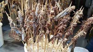 Can You Eat Grasshoppers For Survival? - Survival Freedom