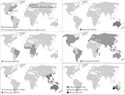 Image result for Laurembergia