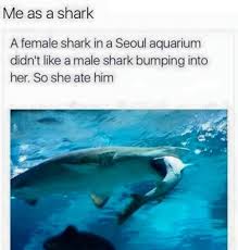 Check spelling or type a new query. Dank Meme University