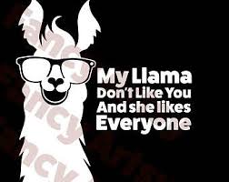 Download Llama Svg Cut Files SVG Cut Files