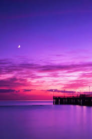 The amazing blending colors of the sky and the birds flying back to their destinations is. I Love The Sunset Sunset Wallpaper Beach Sunset Wallpaper Beautiful Wallpapers