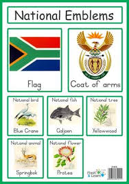 Clipart Wallpaper Blink Springbok Clipart National Animal South Africa 17 337 X 480 For Android South African Flag South Africa Animals South Africa Flag