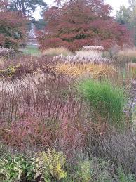 Glorious Prairie Garden Dutch Gardens Grasses Garden