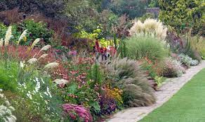 Small clumping grasses, such as dwarf varieties of silver grass, provide a lovely border between plant beds and walkways while small spreading grasses, such as ribbon grass, make an excellent ground cover. Blades Of Glory Alan Titchmarsh On Filling The Gaps With Ornamental Grasses Express Co Uk