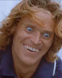 Aidan Casey (@aidankingcasey) • Instagram photos and videos