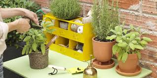 Plantes Aromatiques Sur Un Balcon Comment Les Cultiver Marie Claire