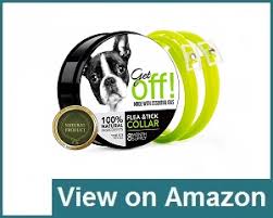 This tick & flea collar is the best flea collar choice in case you are on a shoestring budget. 10 Best Dog Flea Collars Jul 2021 Buyer S Guide