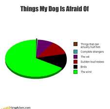  Οι φοβίες του σκύλου......
