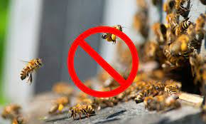 Homeowners can eliminate the colony of bees if they are harmful to the homeowner or structure. 15 Tips On How To Get Rid Of Bees Fast Humanely World Birds