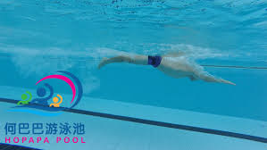 2 days ago · 加拿大華裔泳將麥克尼爾（maggie macneil）今天在東京奧運女子100公尺蝶式項目一舉奪金，並創下史上第3快成績. è¶è…³åŠè¶å¼åˆ†è§£å‹•ä½œé»žæ¨£åš ä»¤ä½ æ¸¸èµ·ä¾†æ›´å¸¥æ°£ ä½•å·´å·´ç§äººæ¸¸æ³³æ•™ç·´