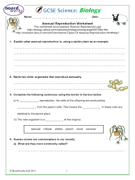 The zygote has a combination of traits not identical compared to its parent cells. Asexual Reproduction Worksheet Boardworks Reproduction Cloning