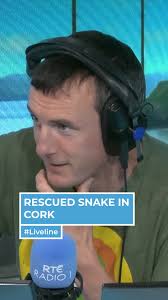 My last words to him were I'll see you in the morning” 38 year old Anthony  Hennessy died by suicide in 2019 just hours after being admitted to St.  Stephen's Psychiatric Hospital