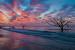 Edisto Island Edisto Beach State Park