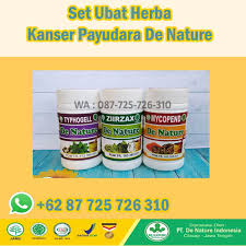 Untuk membuat puasa untuk pesakit kanser lebih halus, selesaikan menu makan dan istirahat cepat dengan wortel, brokoli, dan tomato yang mengandungi vitamin a dan vitamin c. Storymapjs Kos Ubat Tradisional Yang Berkesan Untuk Pesakit Kanser Payudara