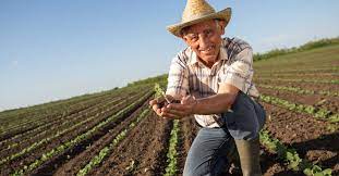 Moses tem 4 vagas no perfil. Agricultores Son Los Mas Beneficiados De Banca Para Desarrollo