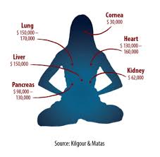 Organ Harvesting From Falun Gong Practitioners In China Human Organ Falun Gong