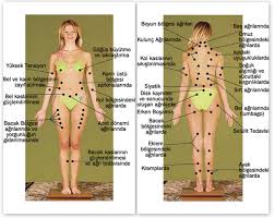 Pin On Acupuncture