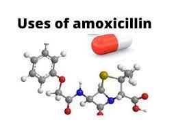 Pharmacistopinion A Passion For Better Health Amoxicillin Types Of Bacterial Infection Bacterial Meningitis