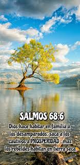 Domingo Julio 22 2018 Dios Te Bendiga Salmos 1 3 Sera Como Arbol Plantado Junto A Corrientes De Aguas Que Da Su Fruto En Su Tiempo Y Su Hoja No Cae Y To