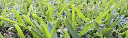 Here at hdr small engine repair, we clean adjust and put a new edge on your reel mower. How How Often Should You Sharpen Your Lawn Mower Blades Does It Even